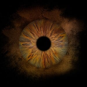 M2-PHOTOGRAPHIE-IRIS-HONFLEUR-YOU-AND-EYE