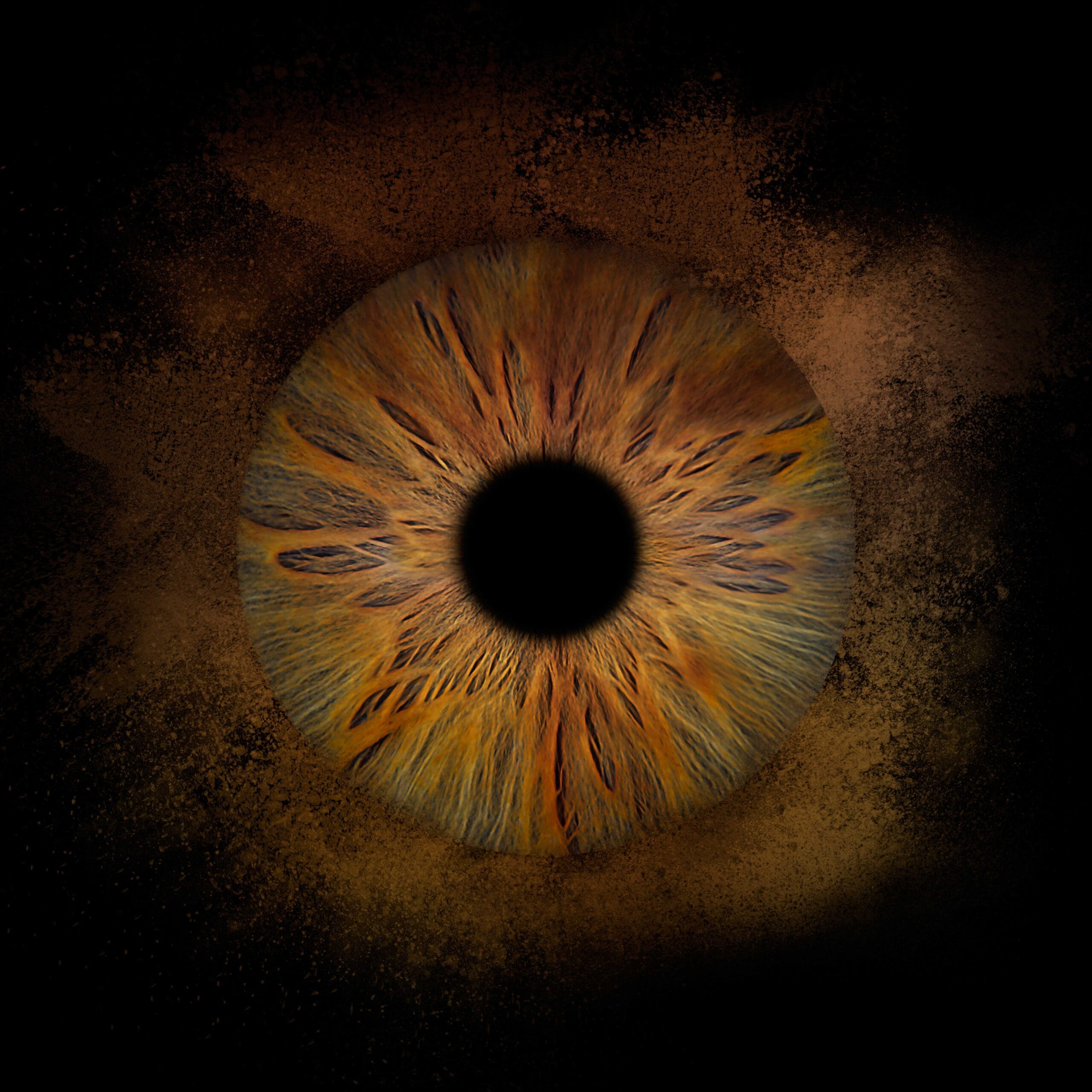 M2-PHOTOGRAPHIE-IRIS-HONFLEUR-YOU-AND-EYE
