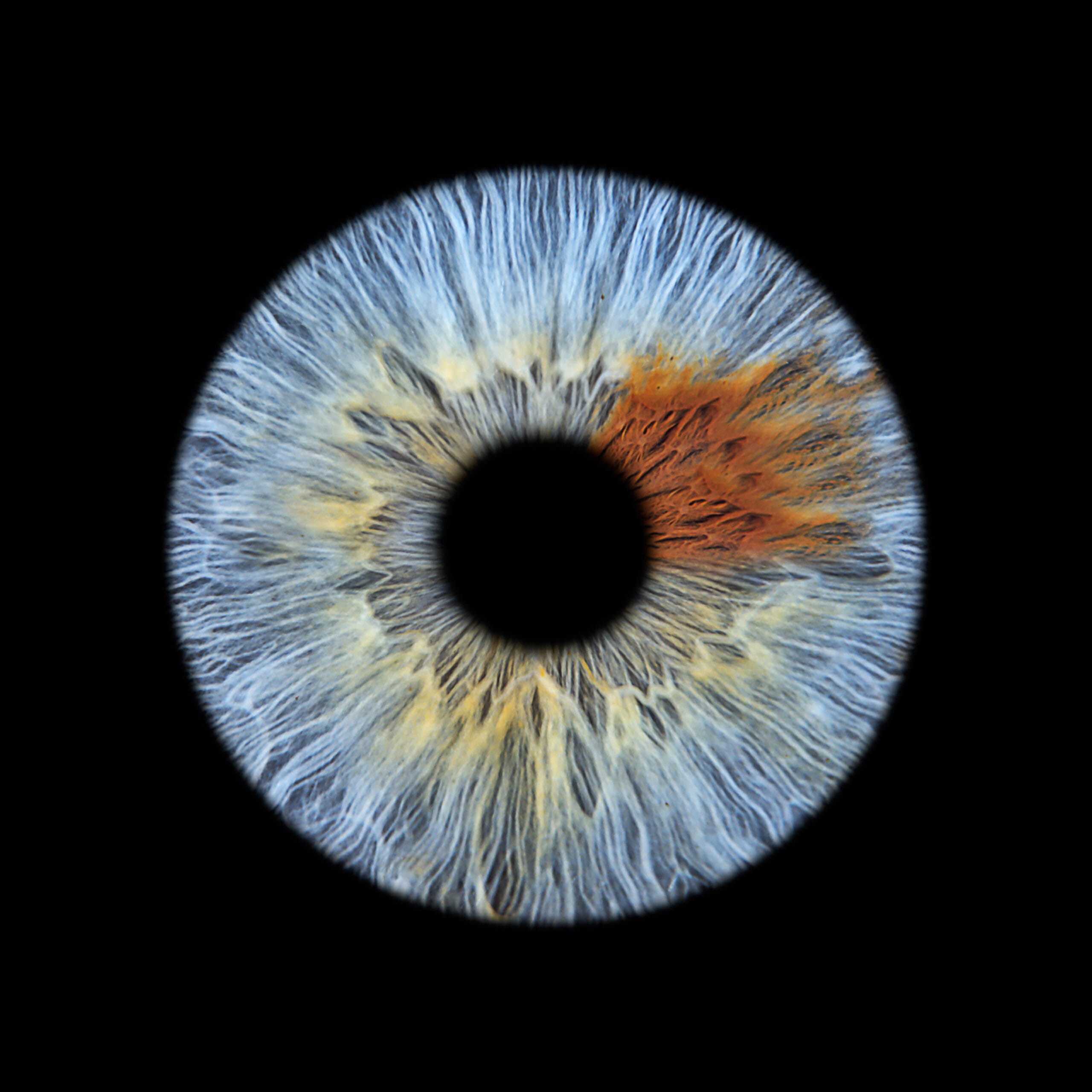 M2-PHOTOGRAPHIE-IRIS-HONFLEUR-YOU-AND-EYE