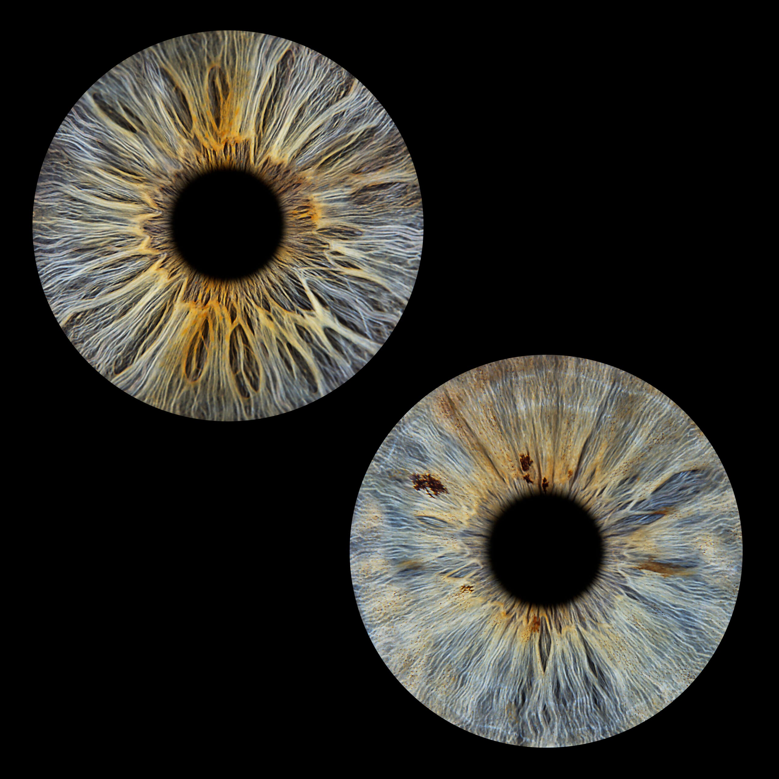 M2-PHOTOGRAPHIE-IRIS-HONFLEUR-YOU-AND-EYE