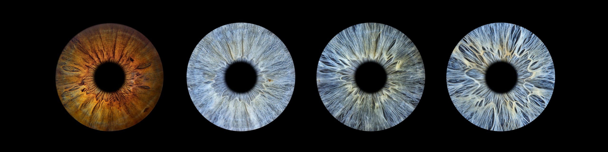 M2-PHOTOGRAPHIE-IRIS-HONFLEUR-YOU-AND-EYE