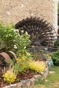 L'authentique roue à aube en bois du Moulin de Bully décorée de rosiers blancs pour un mariage en Normandie.