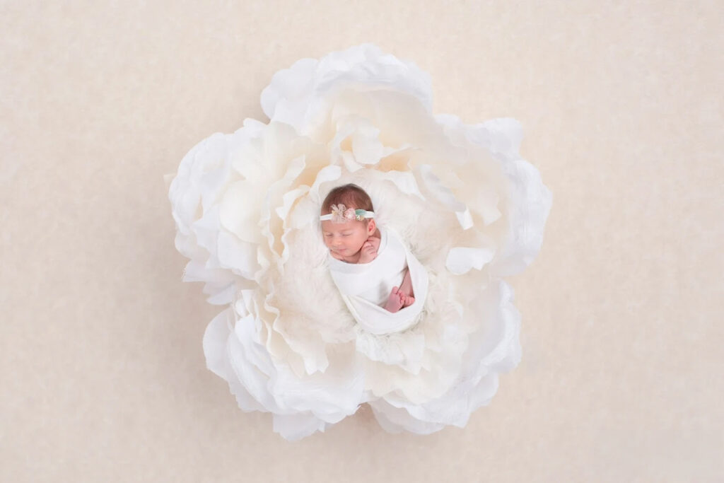 photographe-naissance-studio-accessoires-le-havre-1