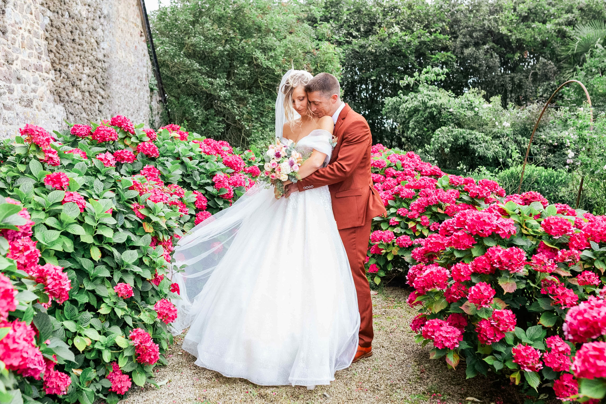 Le marié embrasse tendrement la mariée sur la joue au milieu d'une allée de jardin bordée de magnifiques hortensias roses éclatants.